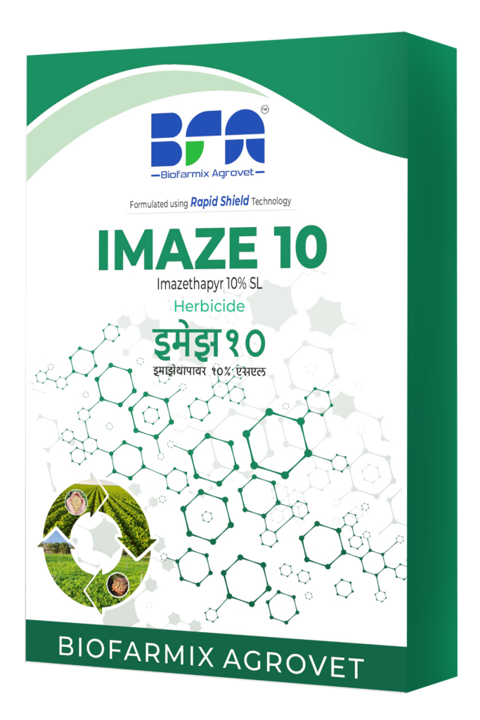 IMAZE 10