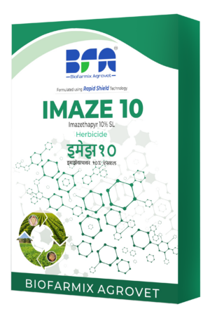 imaze 10