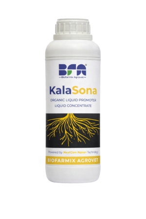 kalasona