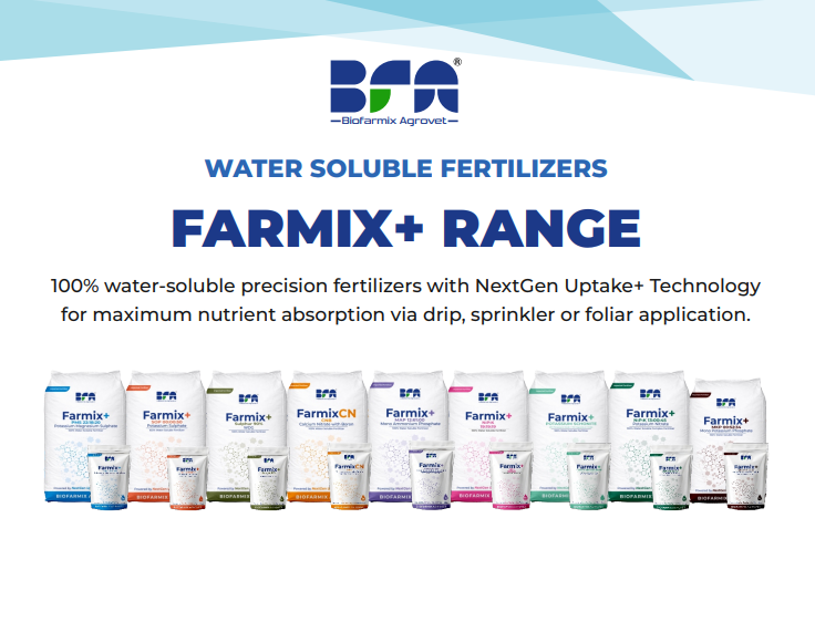 Home plant nutrition