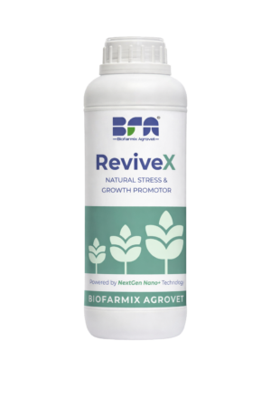 revivex