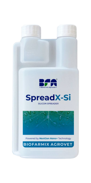 spreadx si